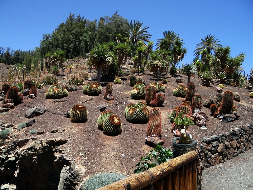 22 Lajita - Giardino botanico.JPG